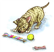 5676f9_556b79fc0a444dc1826988edd44e7287~mv2_d_1861_1705_s_2